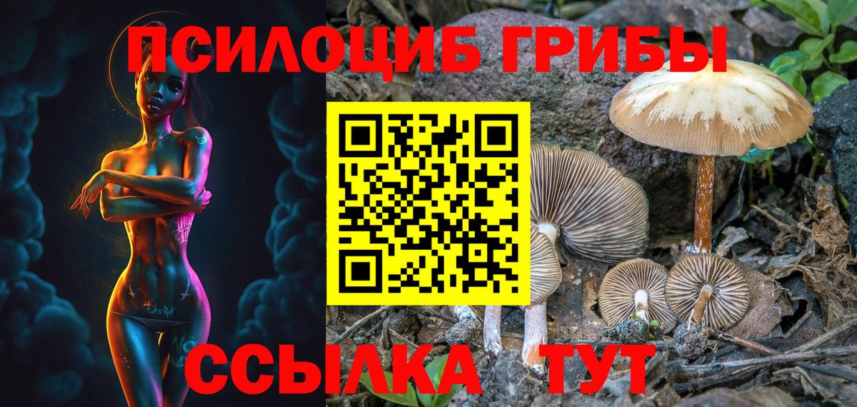 Псилоцибиновые грибы Psilocybine cubensis Звенигород